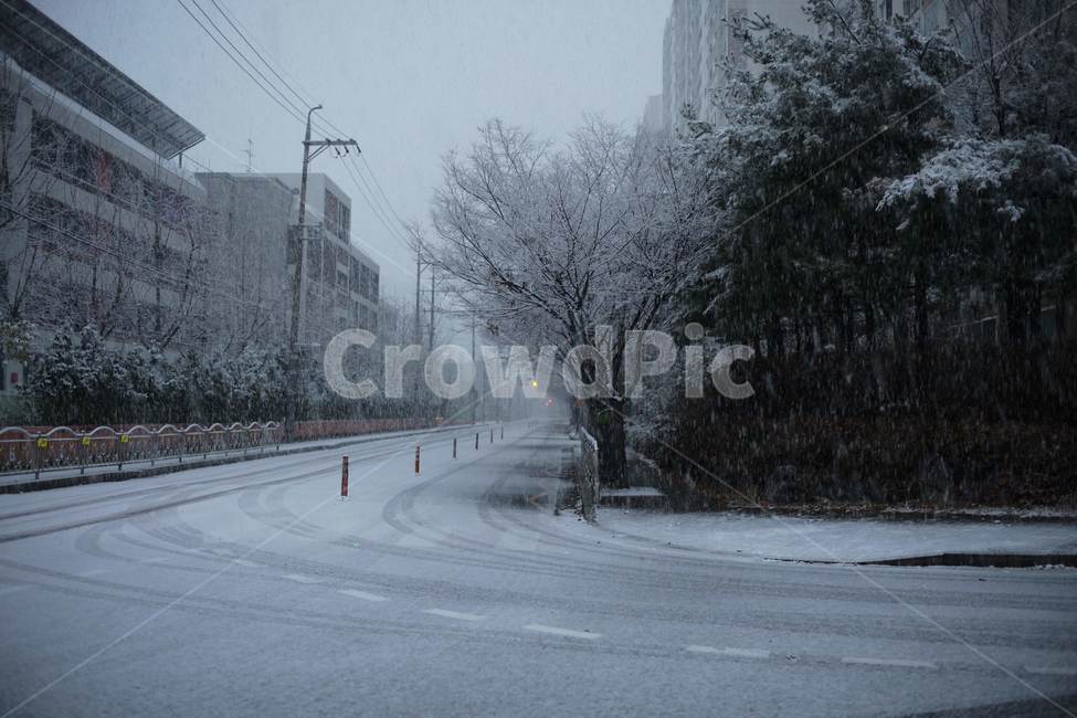 겨울,눈,도로,출근길,눈꽃,겨울,계절,winter,season