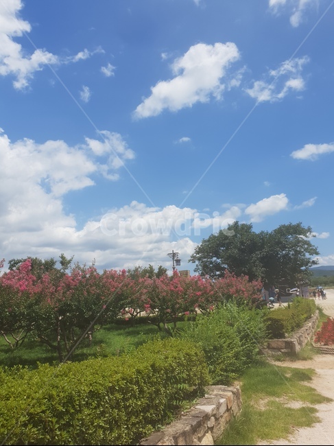 경주,경주자연,길,풍경,한국풍경