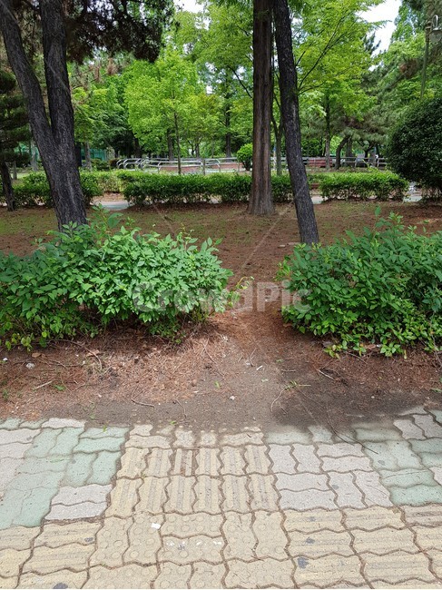 보도,길,통로,길가,바닥
