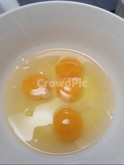 쌍란,계란,달걀,쌍달걀,단백질,노른자,흰자