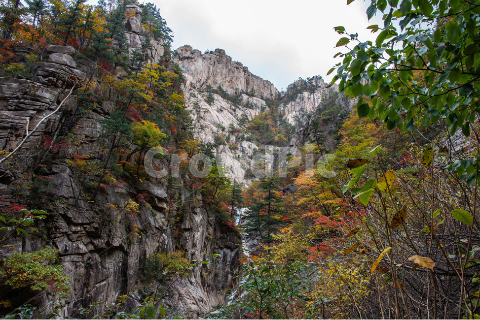설악산,국립공원,가을,단풍,기암괴석,천불동계곡,가을,계절,fall,autumn,season,자연,풍경,nature,landscape,한국자연풍경,한국자연경관,korea nature landscape,outdoors,옥외,tree,나무,plant,식물