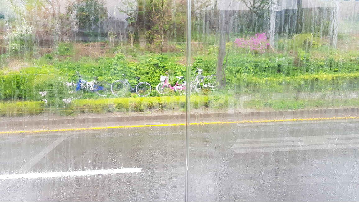 비,창문,유리,도로,버스정류장,rain,rainy,비,비오는날,rain,rainy