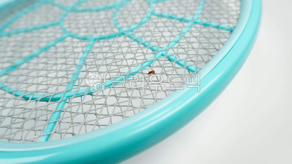 die,culicidae,electric mosquito swatter,white background,screen,sickness,mosquitoswatter,thorax,hit,white,Mosquito,insect,killer,net,prevention,swatter,skyblue,pest,proboscis,epidemic,tool,plastic,closeup,light blue,background,animal,circle,corpse,raid,in