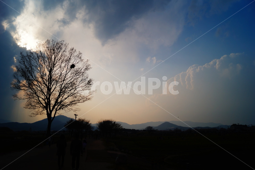 nature,자연,person,outdoors,옥외,하늘,sky