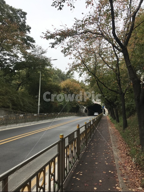 가을,풍경,road,터미널,나무,단풍나무,도로,가을,계절,fall,autumn,season,자연,풍경,nature,landscape,highway,고속도로,freeway,고속 도로,asphalt,아스팔트