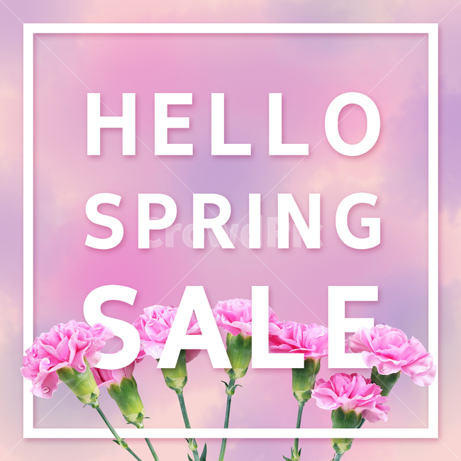 카네이션,꽃,봄,프레임,이벤트,쇼핑,봄,계절,spring,season,꽃,flower,가족,패밀리,family,축제,행사,festival,carnival,event,기념일,축하,anniversary,congratulation,celebrate,celebration,쇼핑,shopping,그래픽,일러스트레이션,graphic,illustration