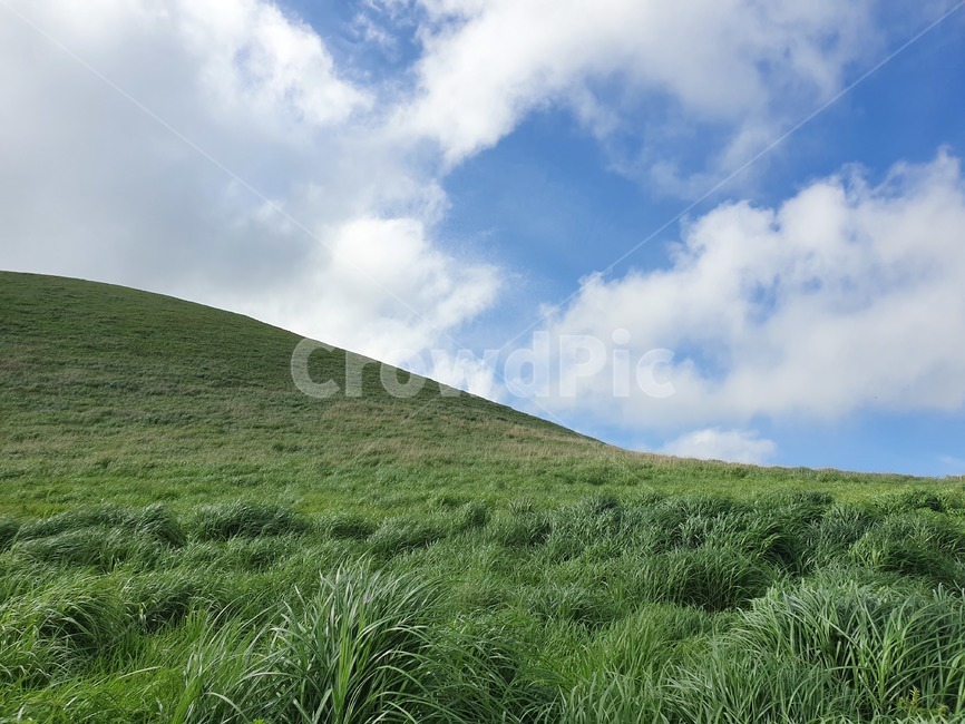 초원,들판,초록,하늘,풀,구름,억새,산,mountain,green,grassland