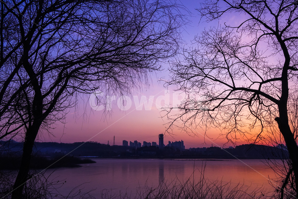 호수,여명,해돋이,나무,식물,겨울,계절,감성,풍경,도시,풍경,city,landscape,식물,자연,plants,nature,나무,trees,wood,실루엣,그림자,silhouette,shadow,outdoors,옥외,sky,하늘,dawn,새벽,red sky,붉은 하늘,dusk,황혼,sunset,일몰