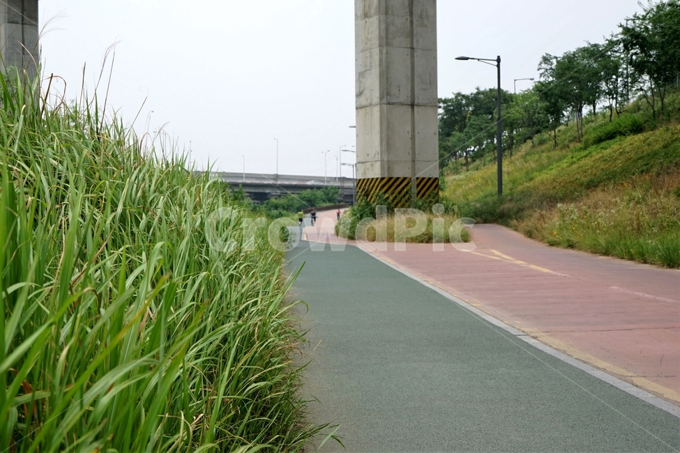 도로,자전거도로,산책로,기둥,풀,포장도로,가로등,road,pavement,bicycleroad,grass,도시,풍경,city,landscape