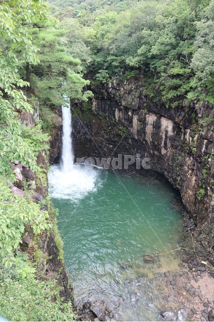 폭포,나무,물,절벽,자연,풍경,falls,tree,water,cliff,nature,scenery,taki,ki,mizu,zetppeki,자연,풍경,nature,landscape,outdoors,옥외,river,강,waterfall