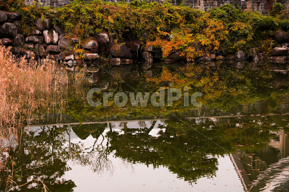 water,outdoors,자연,land,물,가을,계절,fall,autumn,season,자연,풍경,nature,landscape