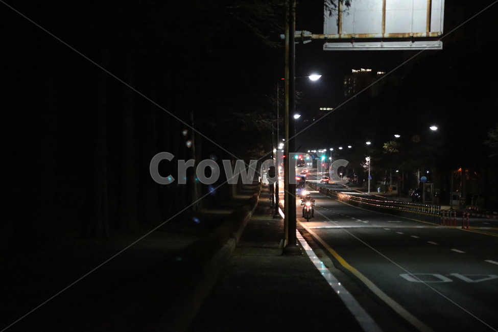 Pohang University of Science and Technology,Professor Apartment,road name,evening road,Street lamp