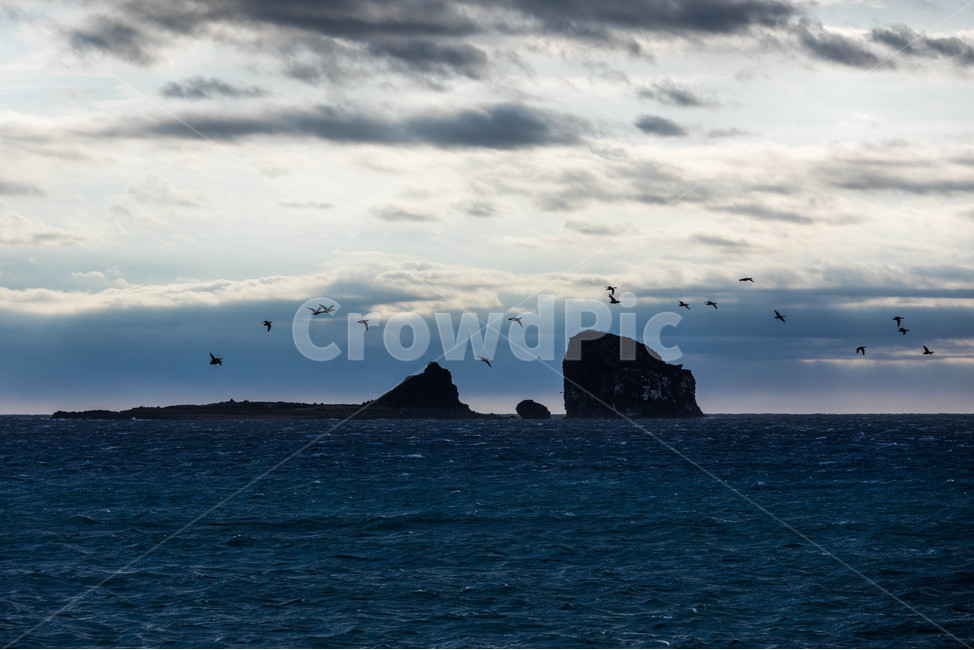 바다,형제섬,제주도,해변,바다풍경,풍경,sea,파도,자연,풍경,nature,landscape,한국자연풍경,한국자연경관,korea nature landscape,제주도,jeju,jeju island,outdoors,옥외,land,땅,ocean,대양,water,물,shoreline,해안선,island,섬,coast,연안,bird,새,animal,동물