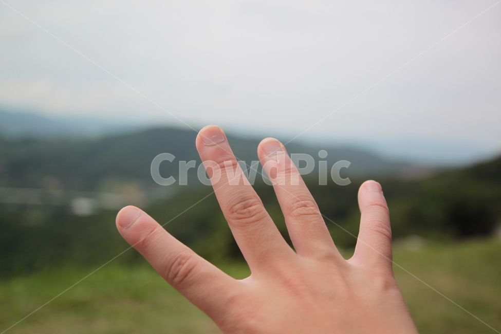 손,손가락,네개,어린아이,사람,사람,인물,인간,human,person,신체일부,몸,body,손,제스처,표시,손짓,표현,gesture,hand,sign,expression
