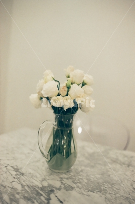 장미,감성,식물,필름카메라,화병,인테리ㅓ어,하얀장미,모노톤,pilm,monotone,photography,rose,whiterose,식물,자연,plants,nature,꽃,flower,실내용화초,화분,화초,house plant,감성,sensible,feeling,인테리어,실내디자인,interior design