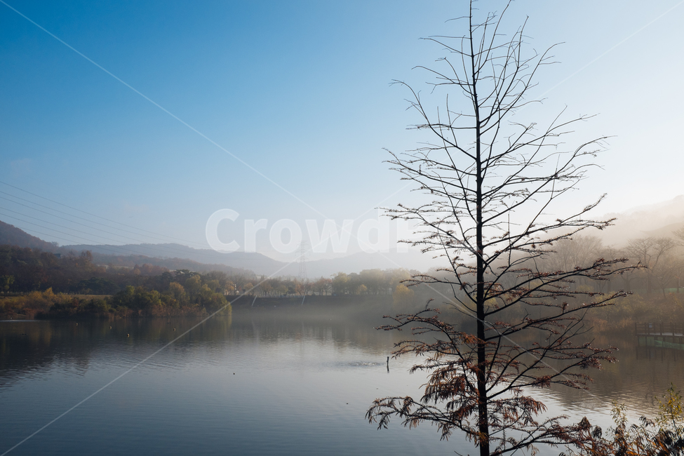 물안개,아침공원,아침햇살,연못,인천대공원,오리,홀로나무,자연,풍경,nature,landscape,outdoors,옥외,weather,날씨