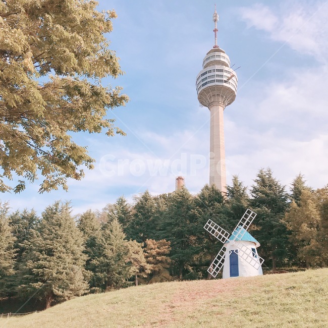 building,tower,식물,나무,tree,plant,놀이공원,바람개비