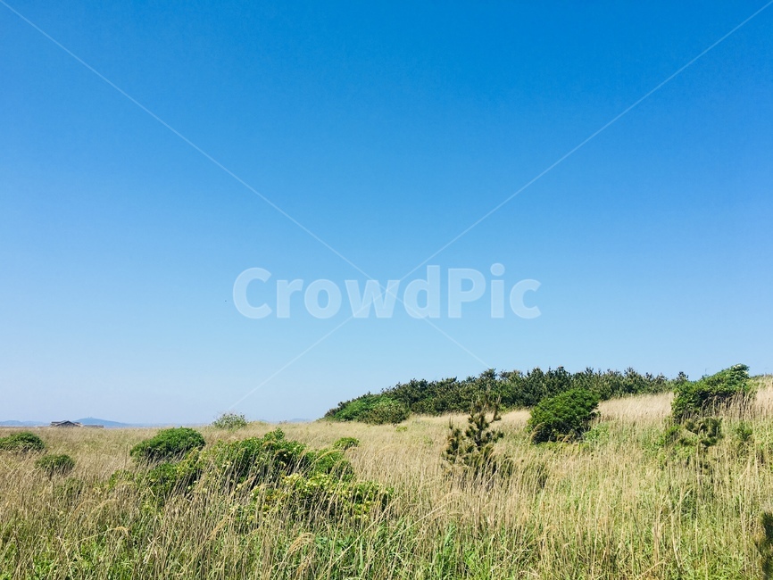 제주도,마라도,관광지,휴양,휴가,감성,힐링,자연,풍경,nature,landscape,grassland,목초지,field,들,outdoors,옥외