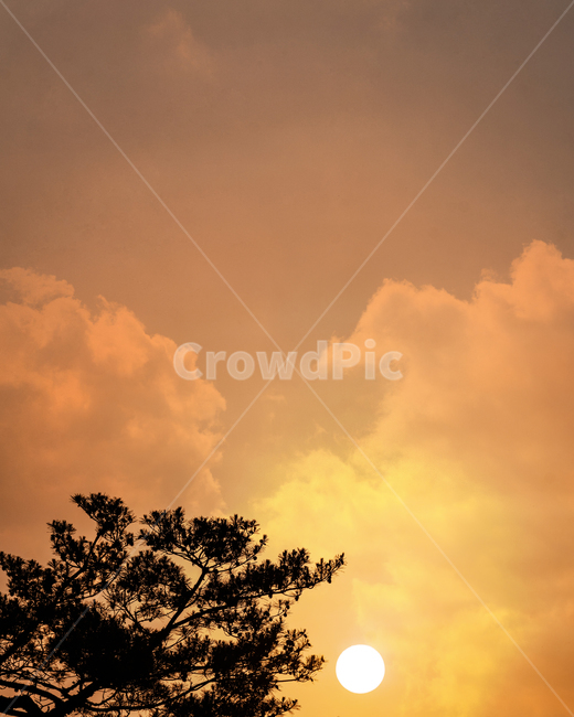 풍경사진,해질녘,노을,석양,저녁,하늘,nature,weather,날씨,자연,outdoors,sunlight,햇빛,옥외,자연,풍경,nature,landscape