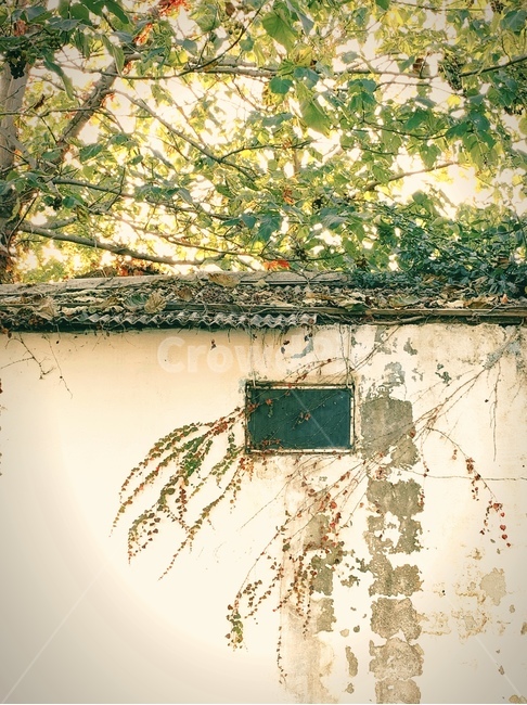 가을풍경,소제동,가을,풍경,돌담,건축물,건물외관,exterior,building,structure,architecture,construction