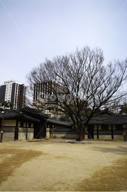 전통,운현궁,전통가옥,기와지붕,건축,tradition,한옥