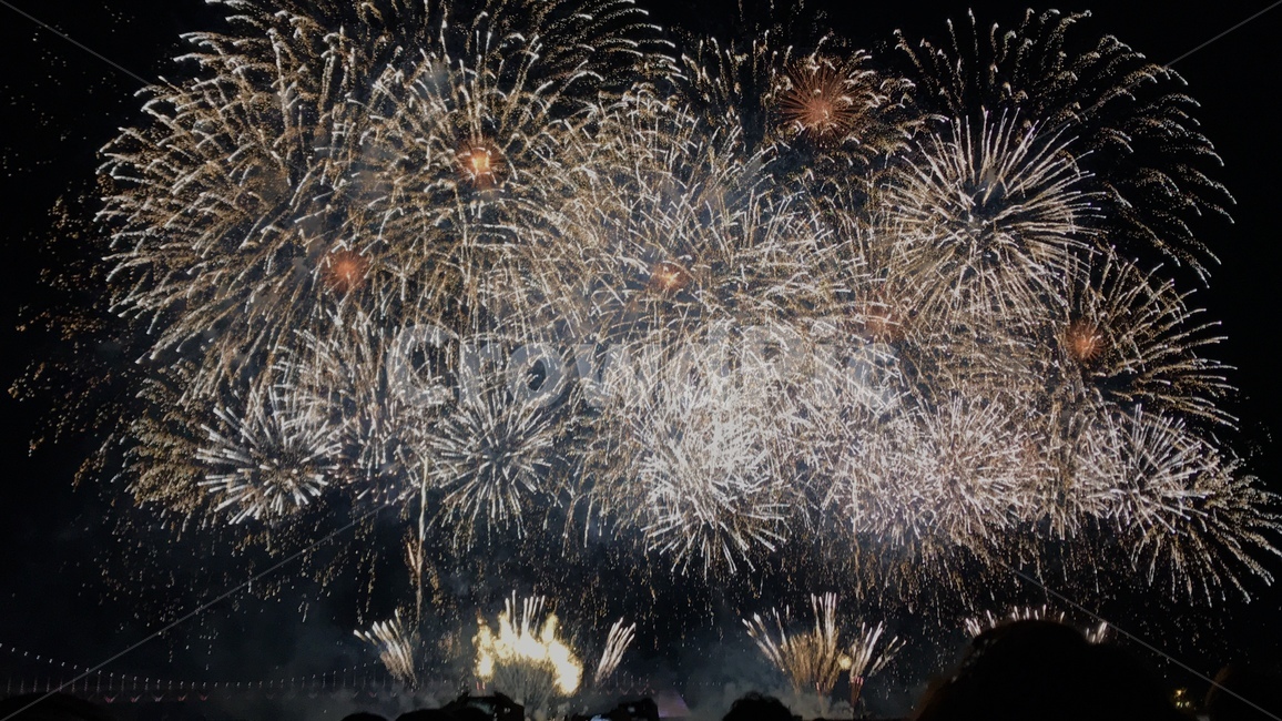 불꽃,불꽃놀이,불꽃축제,대형불꽃,fireflower,밤,하늘,바다,축제,문화,순간,감성,부산,광안대교,야경,festival,night,야경,밤,풍경,nightscape,night,landscape,축제,행사,festival,carnival,event,nature,자연,outdoors,옥외