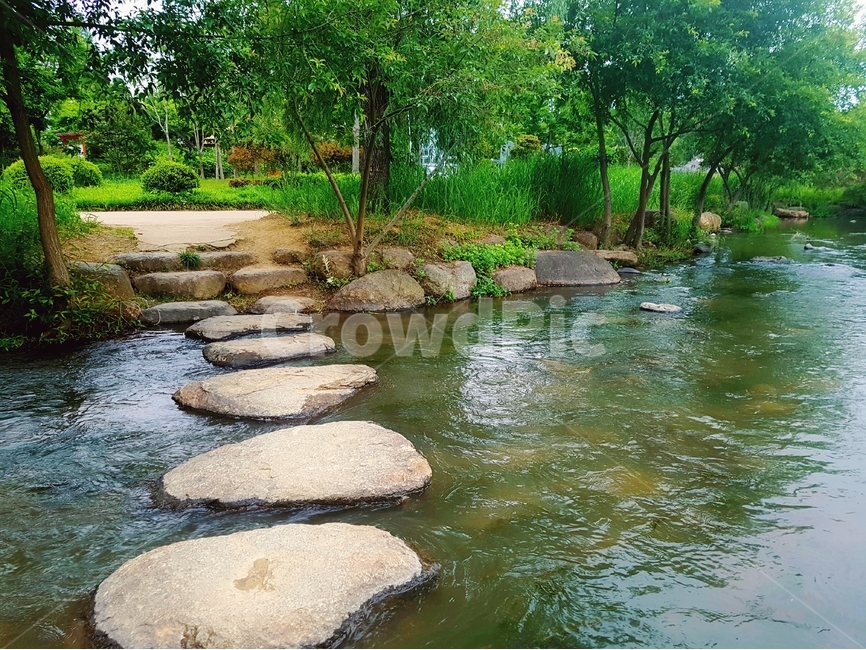 길,물,나란히,돌담,돌길,강,물길,물결,나무,순천,자연,반사,비추임,여름,계절,summer,season,자연,풍경,nature,landscape,water,outdoors,옥외