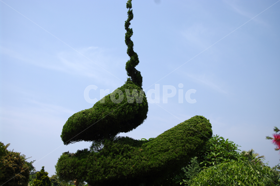 나무,정원,식물,하늘,구름,식물,자연,plants,nature