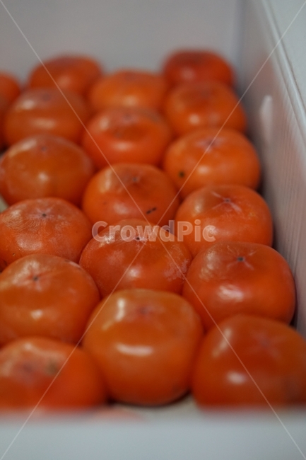 감,홍시,과일,음식,주황색,음식,식재료,요리,food,cook,meal,dishes,food reserves,과일,열매,fruit