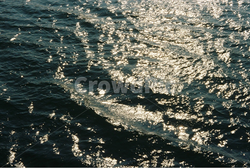 자연,물,강물,빛,겨울,은결,감성,아날로그,자연,풍경,nature,landscape,휴식,힐링,rest,relaxation,healing,water,sea,바다,outdoors,옥외,ocean,대양