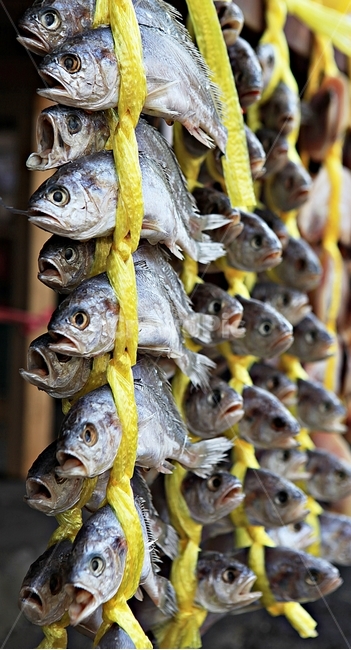 건조기,조기,생선,식재료,음식,한식,음식,식재료,요리,food,cook,meal,dishes,food reserves,수산물,해산물,fishery products,seafood