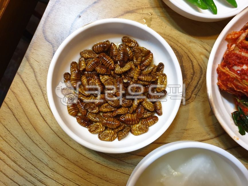 번데기,음식,식사,food,meal