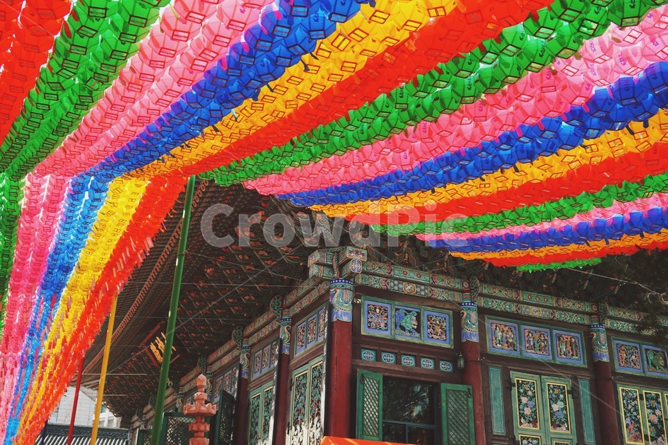 야외,조계사,전통,outdoor,temple,등,lamp,colorful,알록달록,절,나무,tree,건물,사찰,building
