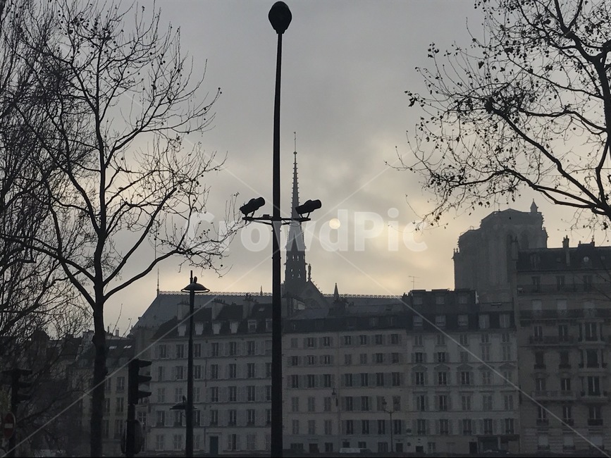 노트르담대성당,moon,달,풍경,파리,paris,노을