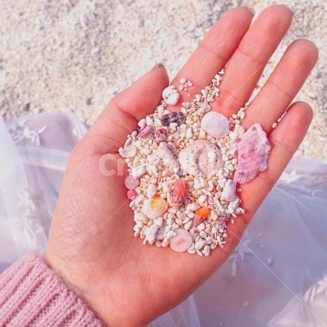 해변,소라,조개,감성,제주도