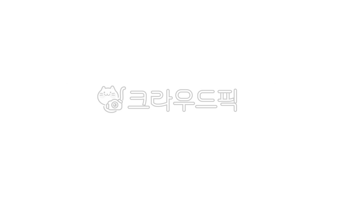 tile,tile house,tile roof,tile house roof,roof,hanok,traditional house,traditional roof,hanok roof