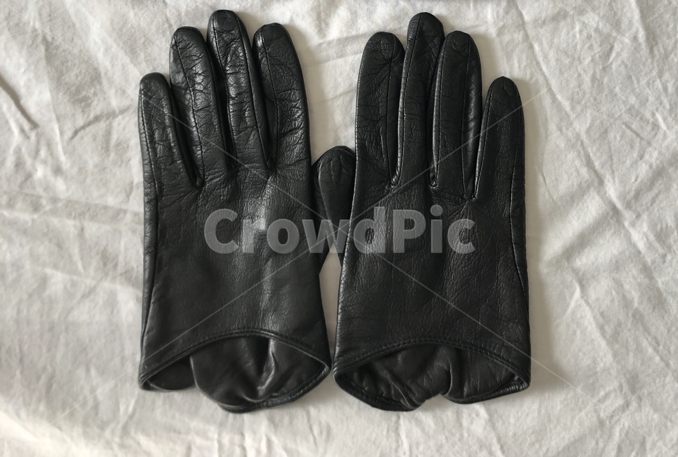 glove,장갑,clothing,의류,apparel,의복