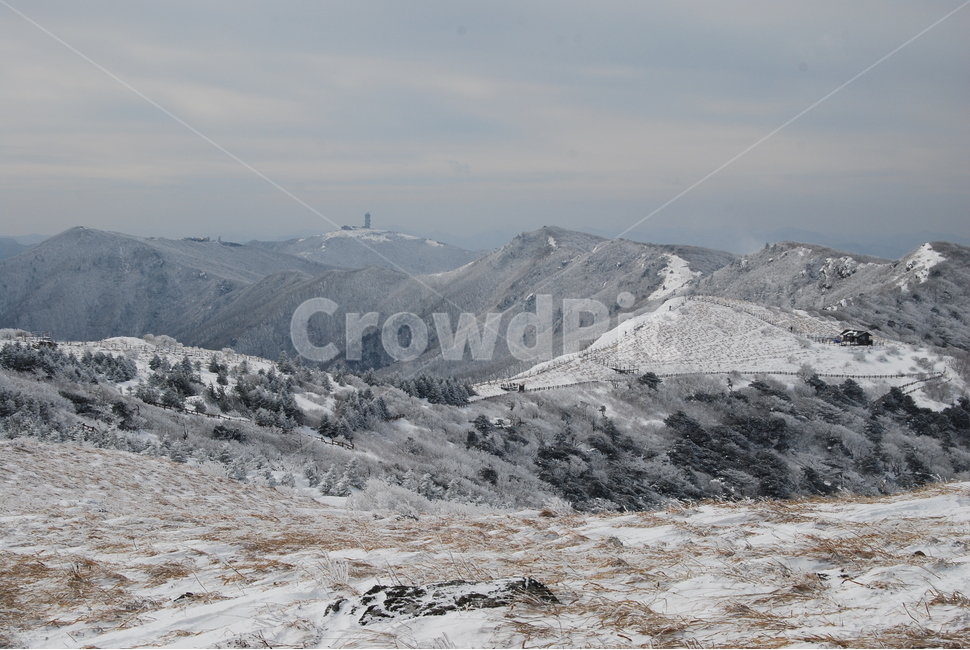소백산,겨울,설경,snow,자연,겨울,계절,winter,season,자연,풍경,nature,landscape,한국자연풍경,한국자연경관,korea nature landscape,mountain,산,outdoors,옥외,mountain range,산맥,slope,경사,ground,바닥