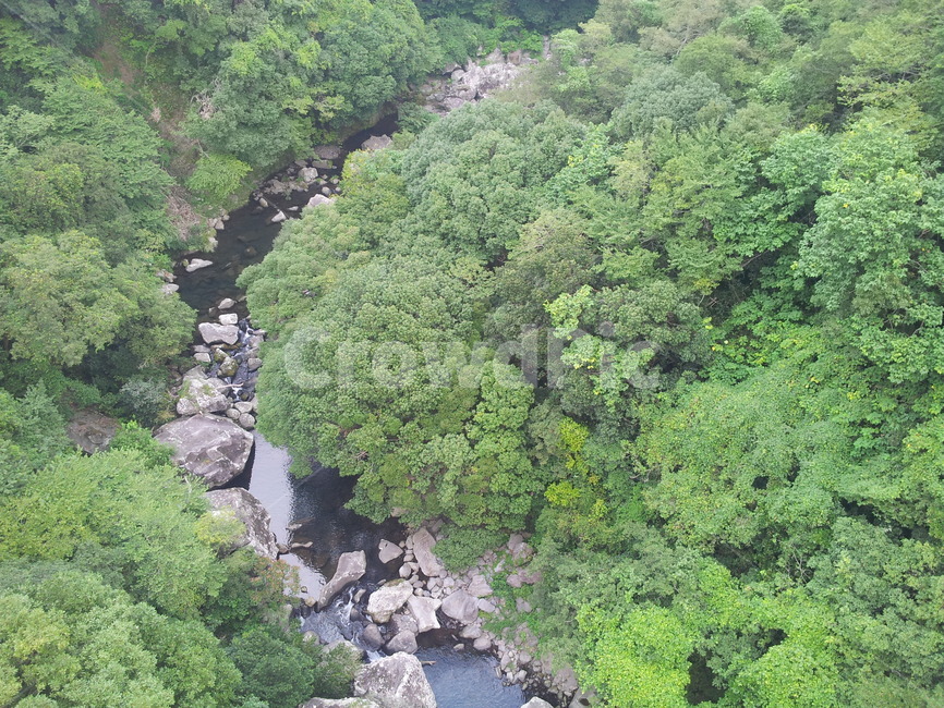 초목,자연,산,강,열대우림,나무,식물,plant,nature,outdoors,tree,자연,풍경,nature,landscape,vegetation,옥외,land,땅,rainforest,열대 우림