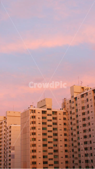 아파트,건물,하늘,저녁,여름,보라,분홍,보라색,분홍색,pink