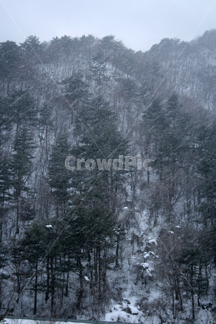 겨울,산,눈,winter,snow,겨울,계절,winter,season,자연,풍경,nature,landscape,outdoors,옥외