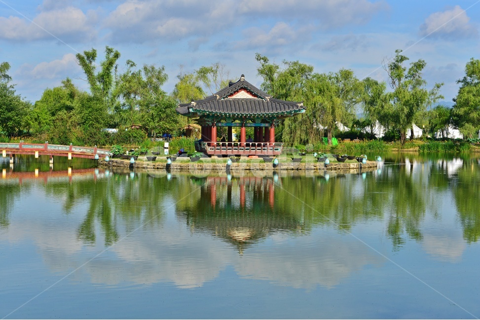 충남,부여,궁남지,반영,water,물,outdoors,옥외,nature,자연