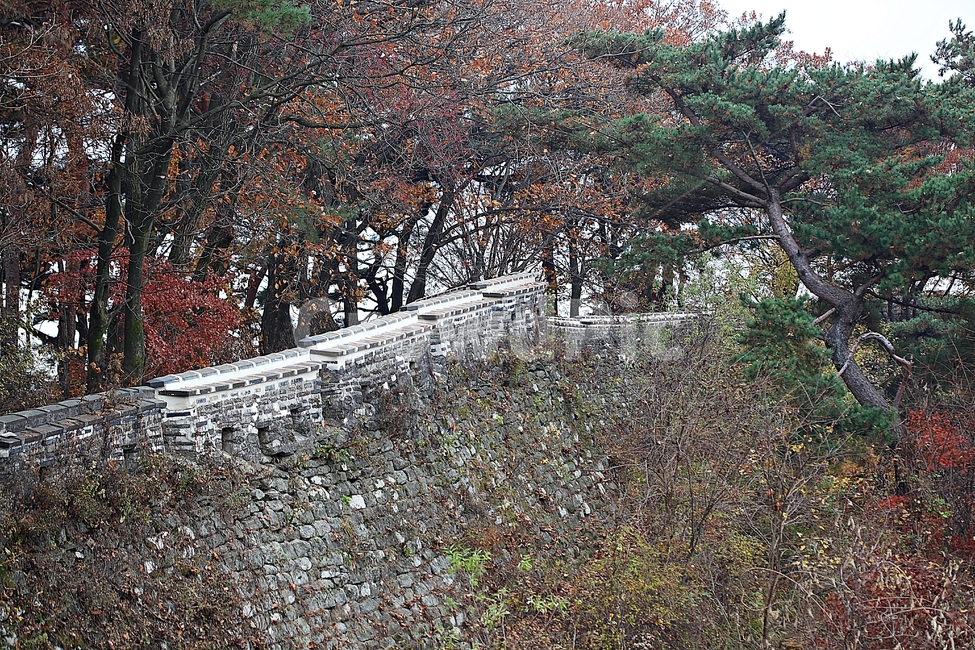 남한산성,성,성곽,단풍,낙엽,길,둘레길,숲,숲길,담,돌담,가을,자연,풍경,벽,울긋불긋,산성,식물,가을,계절,fall,autumn,season