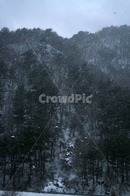 겨울,산,눈,winter,snow,겨울,계절,winter,season,자연,풍경,nature,landscape,blizzard,눈보라,storm,폭풍,outdoors,옥외