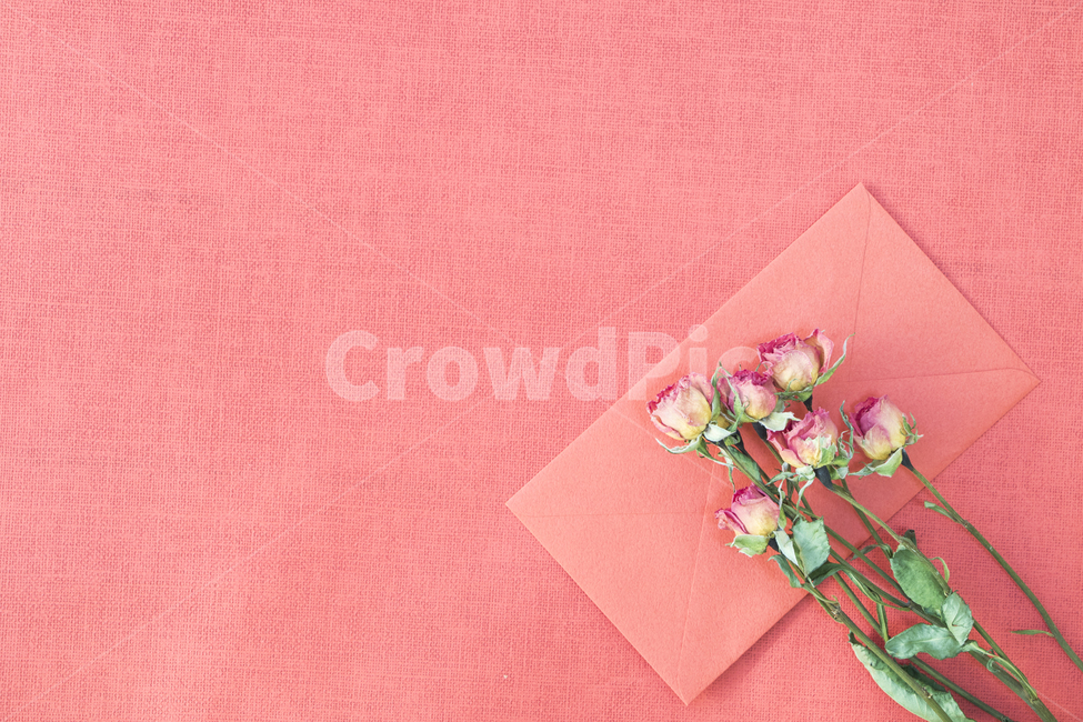 드라이플라워,말린꽃,꽃,식물,프레임,이벤트,건조,빈티지,꽃,flower,연출,컨셉,콘셉,direction,concept