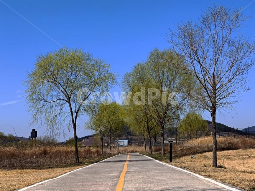 자연,풍경,배경,출발선,시작