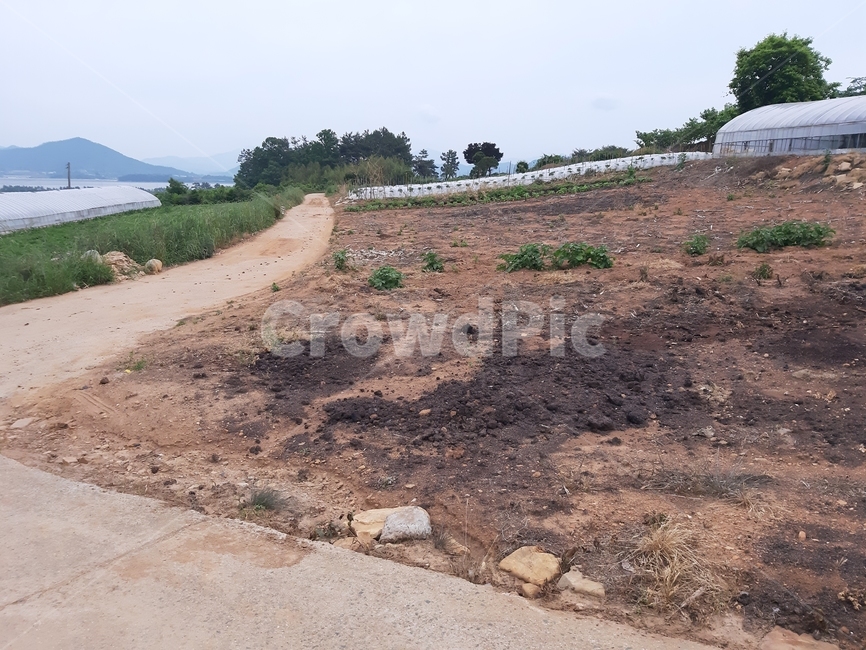 ground,바닥,soil,흙,gravel,자갈,흙길,dirtroad,도로,road,강진