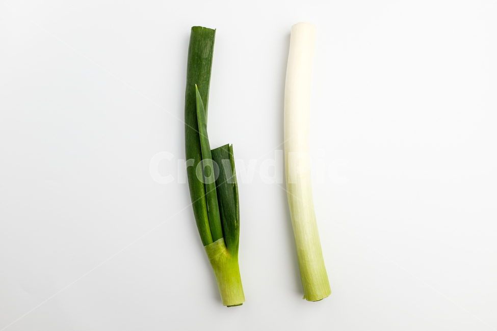 파,대파,채소,줄기,식물,야채,건강한,음식,날것,재료,식재료,음식재료,양념,클로즈업,신선한,식품,잘익은,매운,초록색,하얀색,향,채식,식용