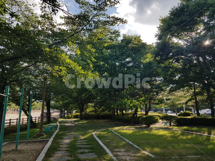 산책,산책로,화창한,구미,금오산,잔디,나무,tree,식물,plant,공원,휴식,rest,여름,자연,풍경,싱그러움,힐링,nature,landscape,summer,gumi,자연,풍경,nature,landscape