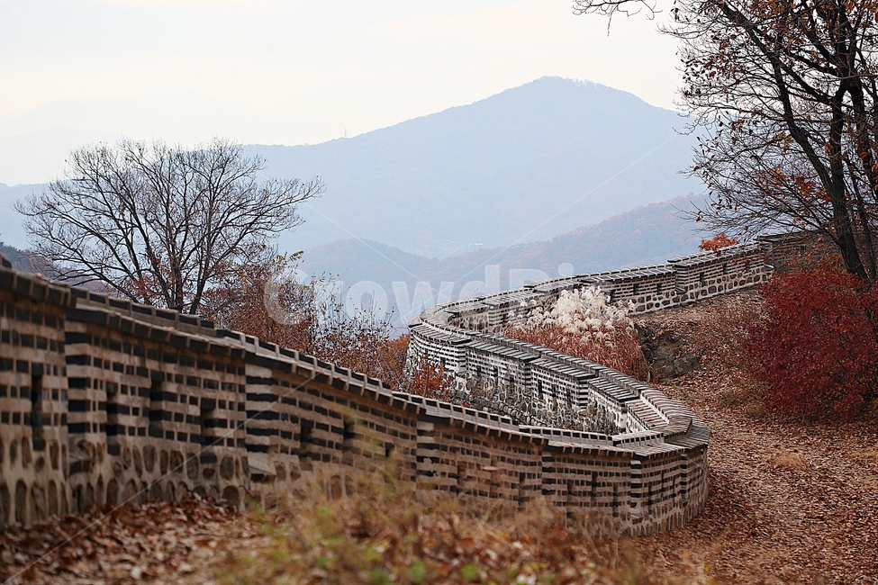 남한산성,성곽,성,단풍,낙엽,길,둘레길,숲,숲길,담,돌담,가을,자연,풍경,벽,울긋불긋,산성,식물,가을,계절,fall,autumn,season,한국전통,한국문화,korean traditional,korean culture,nature,outdoors,옥외,building,건물